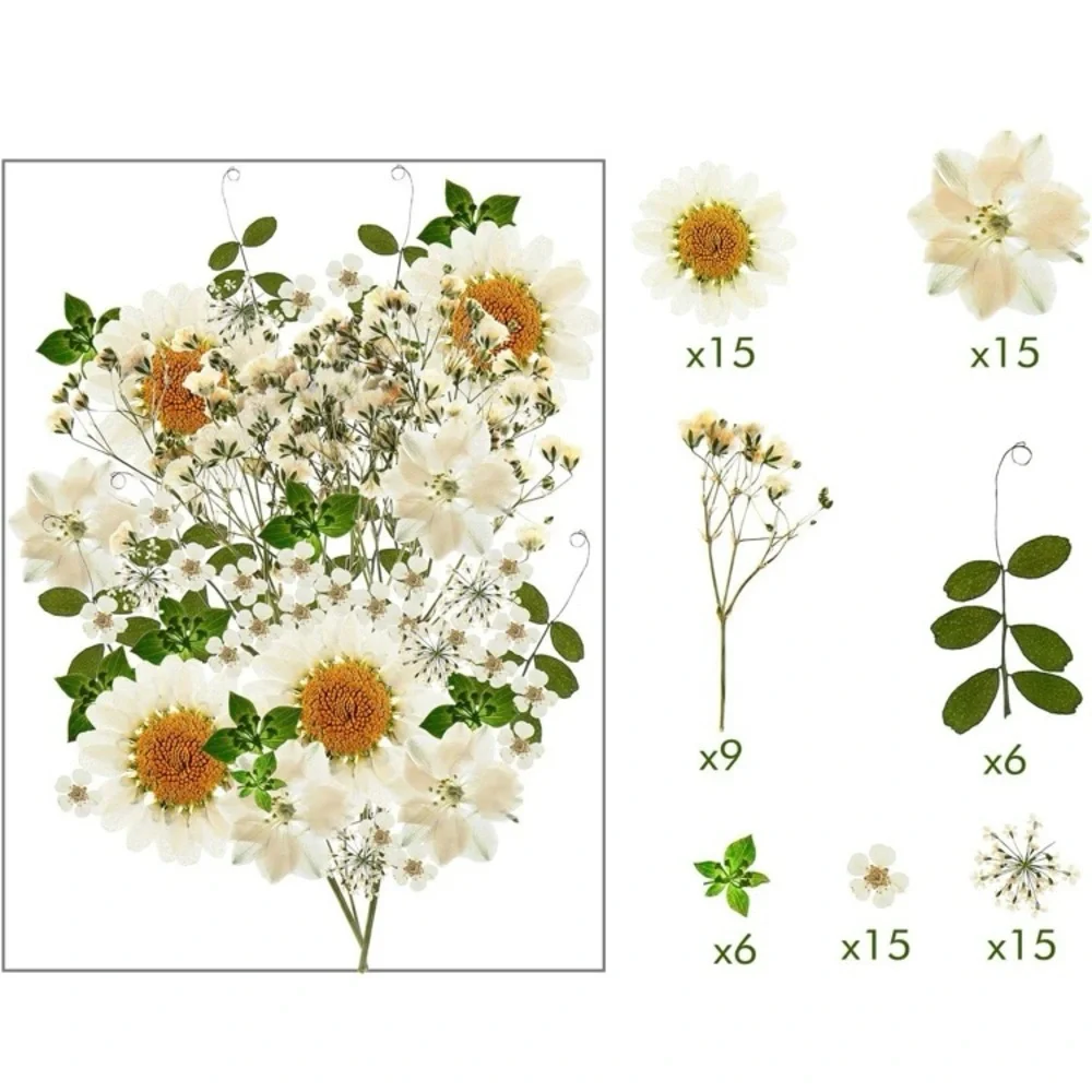 ⭐️ Pressed Flowers Bulk White Dried Flowers Two Pack For Crafting